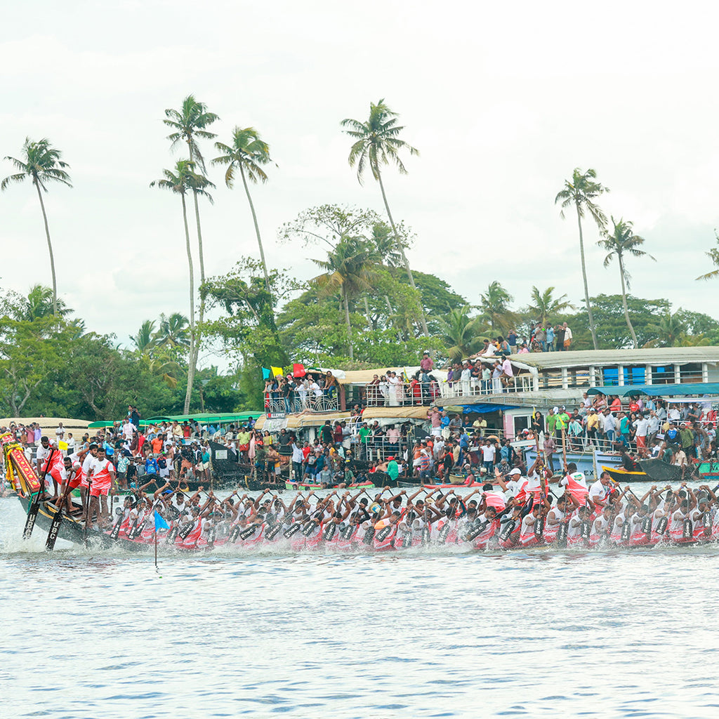 Snake Boat Race