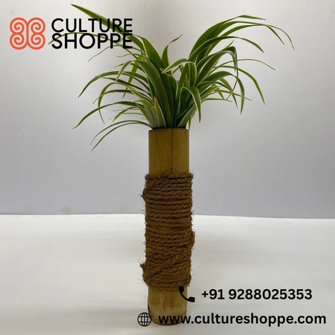Upcycled Bamboo Puttu Maker Planter |Bamboo Planter | Garden & Indoor decor