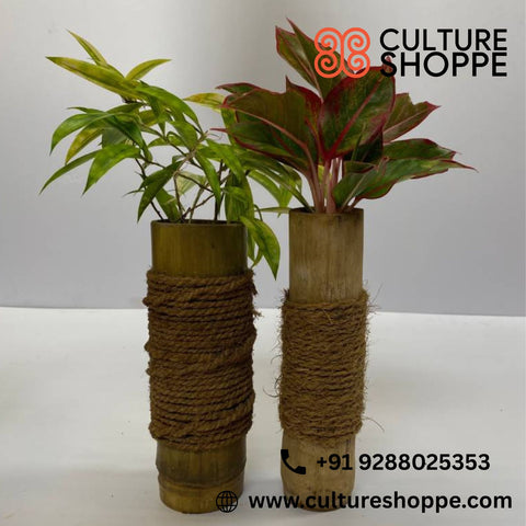 Upcycled Bamboo Puttu Maker Planter |Bamboo Planter | Garden & Indoor decor