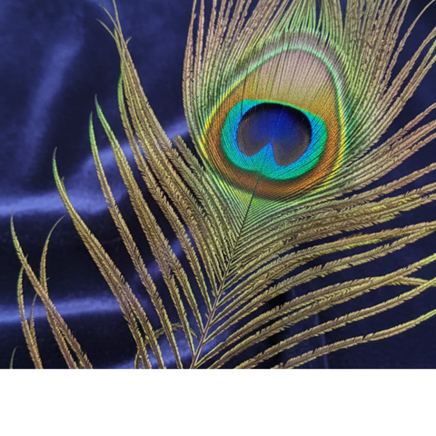 Natural Peacock Feather | Sacred Decor & Craft Use