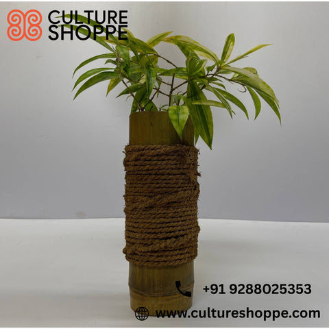 Upcycled Bamboo Puttu Maker Planter |Bamboo Planter | Garden & Indoor decor